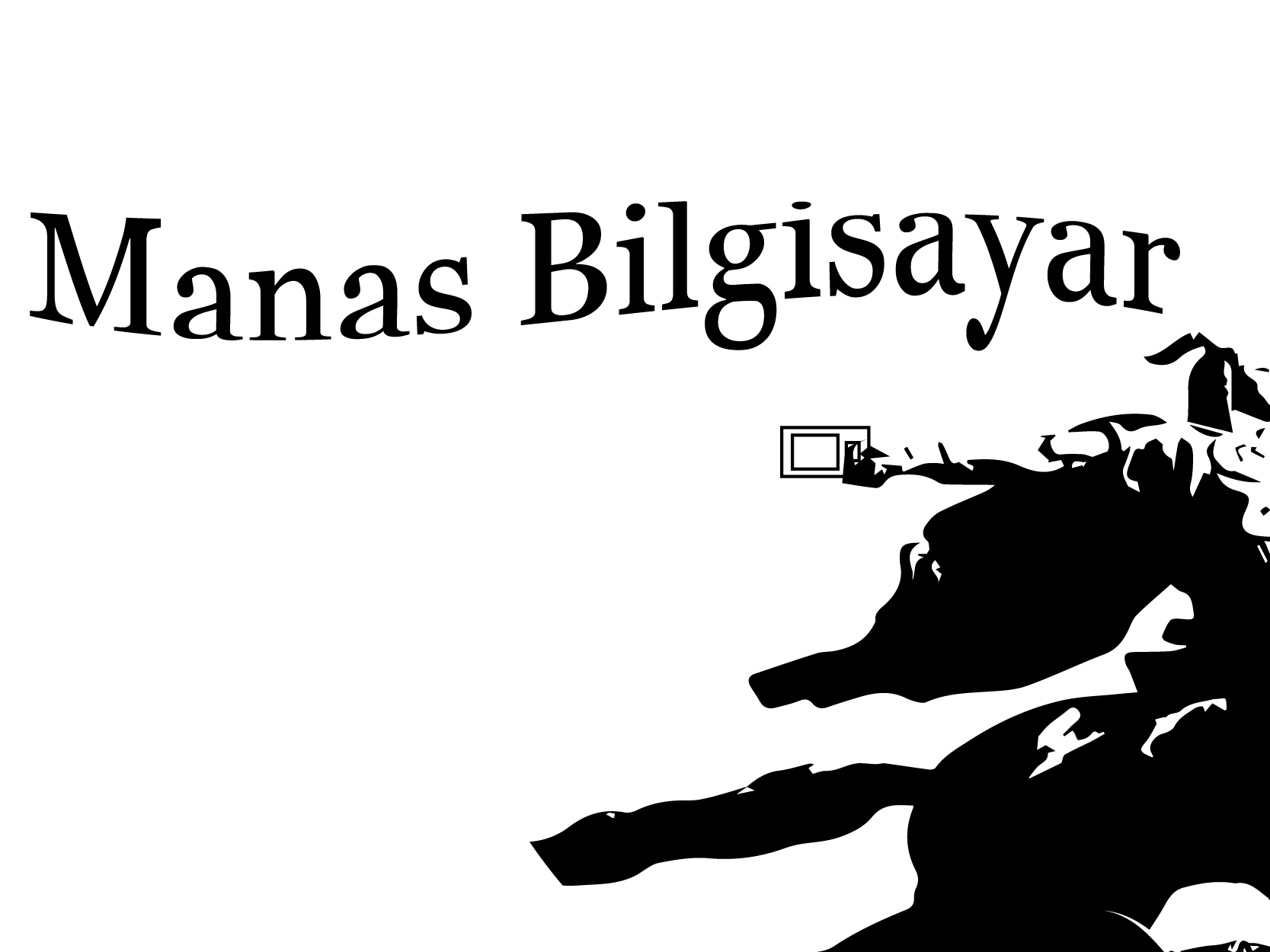 manas-bilgisayar-netyerim